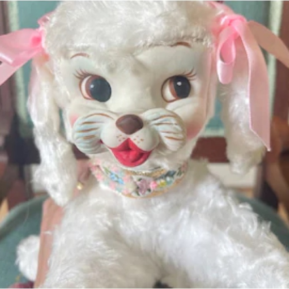 Meet your Posher, Bunny
